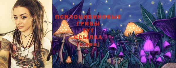 индика Вязьма