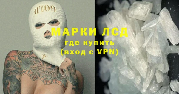 индика Вязьма